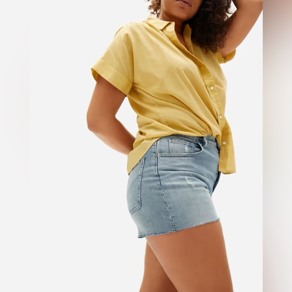 Everlane Cheeky Denim Short